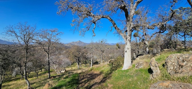 37575 Cardinal Ln, Yokuts Valley, CA 93675 - photo 4