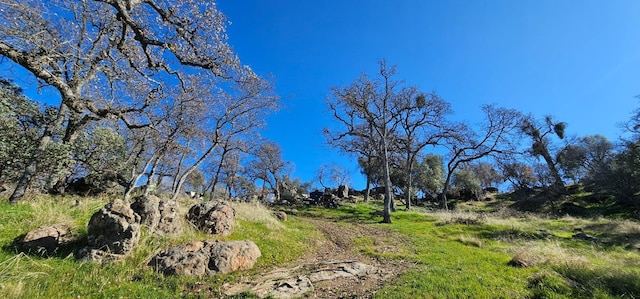 37575 Cardinal Ln, Yokuts Valley, CA 93675 - photo 5