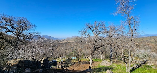 37575 Cardinal Ln, Yokuts Valley, CA 93675 - photo 9