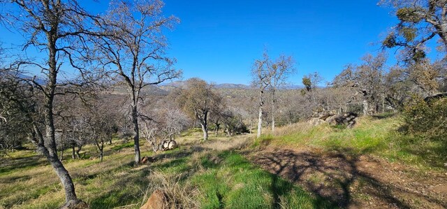 37575 Cardinal Ln, Yokuts Valley, CA 93675 - photo 8