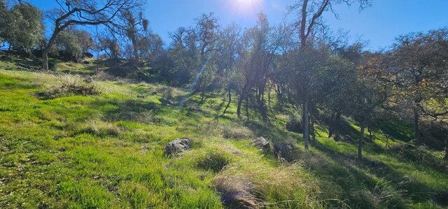 37575 Cardinal Ln, Yokuts Valley, CA 93675 - photo 7