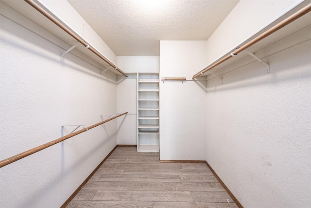 walk in closet featuring light wood-type flooring