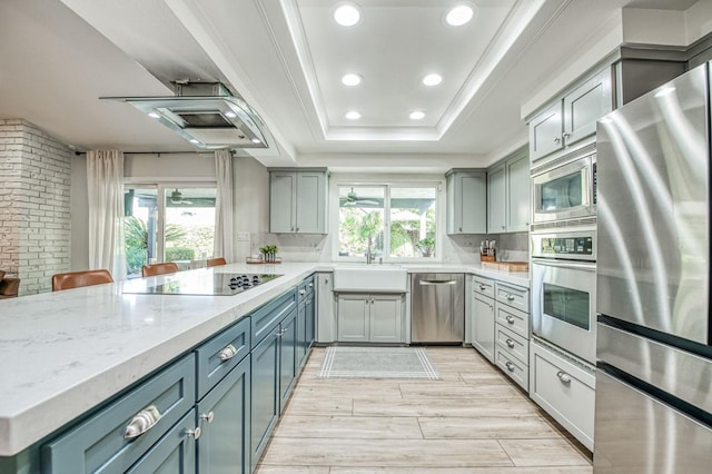 kitchen with sink, appliances with stainless steel finishes, backsplash, a tray ceiling, and light stone countertops