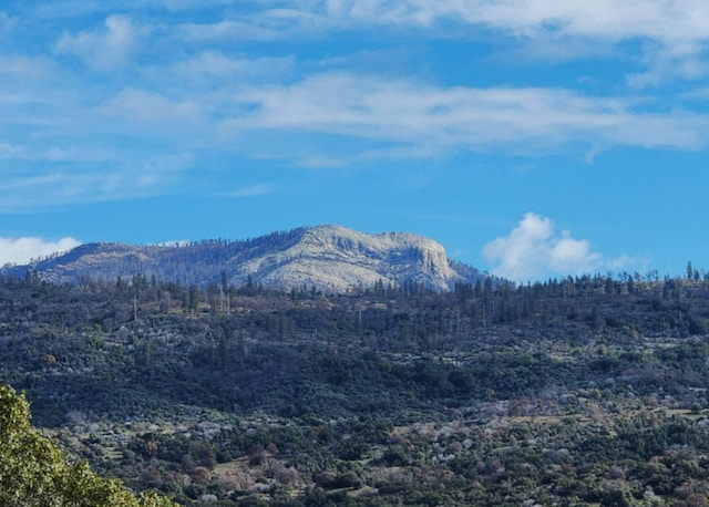 view of mountain feature