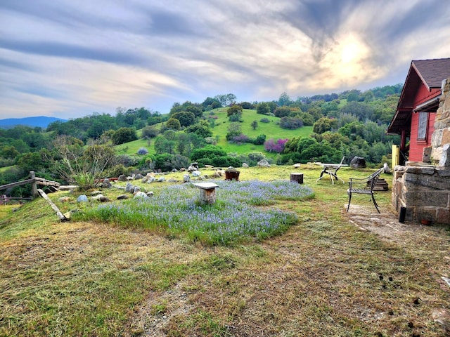 view of yard with a rural view