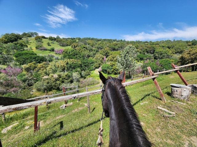 birds eye view of property with a rural view