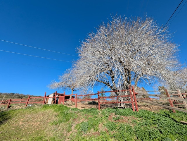 view of yard with a rural view