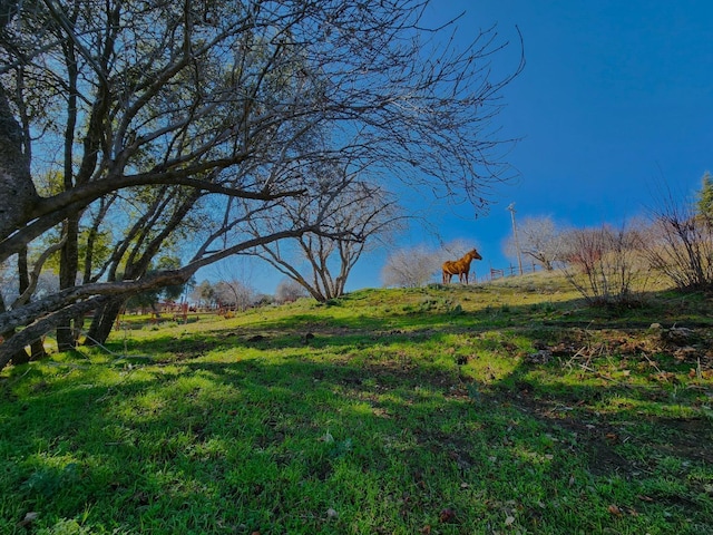 view of nature with a rural view