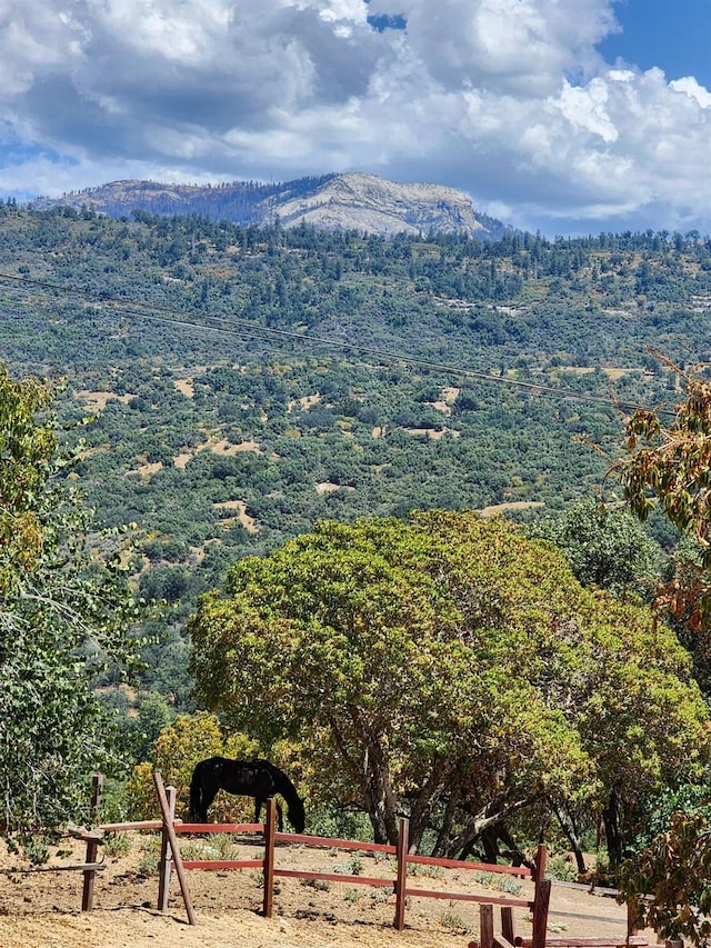 view of mountain feature