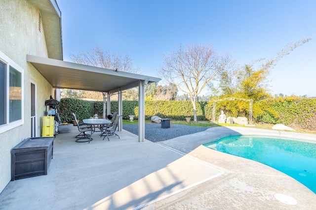 view of swimming pool with a patio area