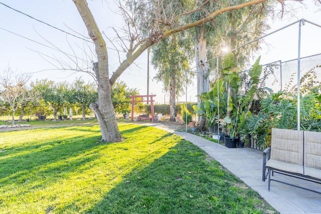 view of community with a yard and a patio area