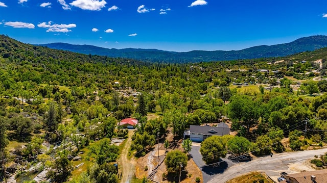 drone / aerial view with a forest view and a mountain view