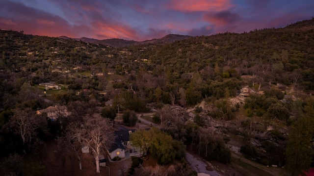 property view of mountains featuring a forest view