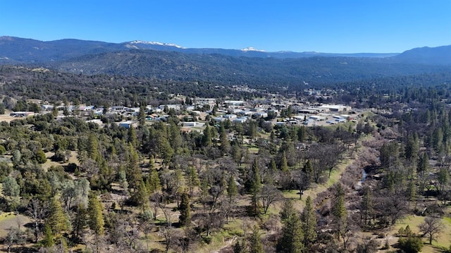 property view of mountains with a view of trees