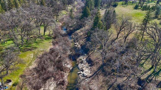 aerial view featuring a view of trees