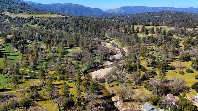 aerial view featuring a mountain view and a wooded view