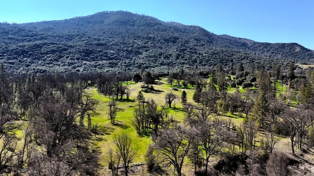 property view of mountains with a forest view