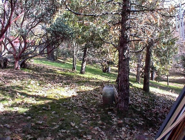 view of landscape