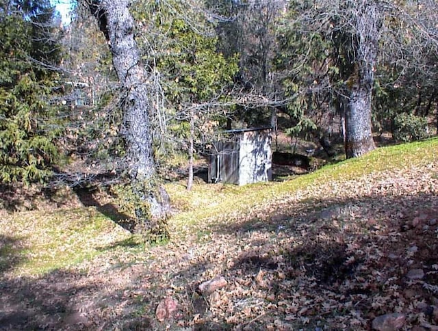 view of yard featuring a storage unit