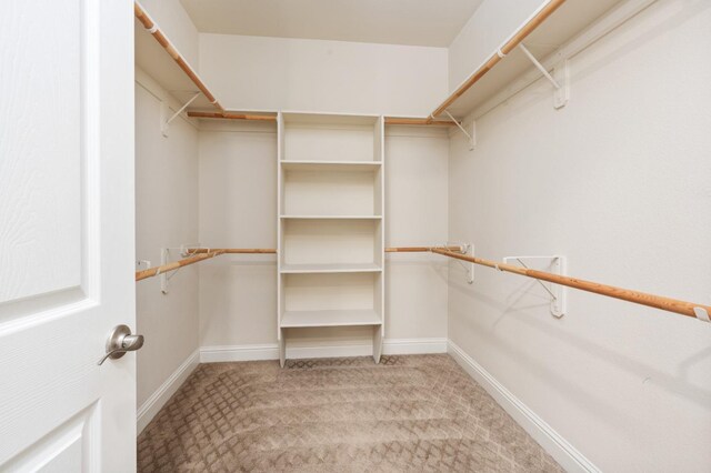 spacious closet featuring carpet flooring