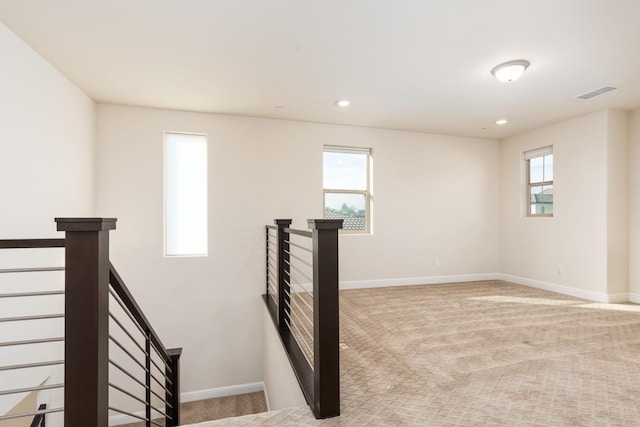 staircase featuring carpet floors