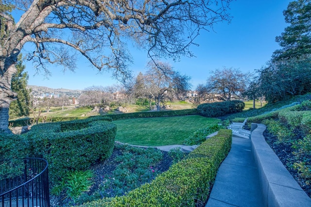 view of yard featuring a mountain view