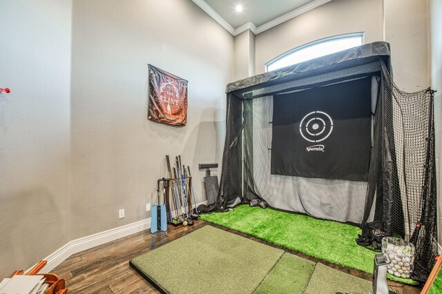 interior space with golf simulator, dark hardwood / wood-style flooring, and ornamental molding