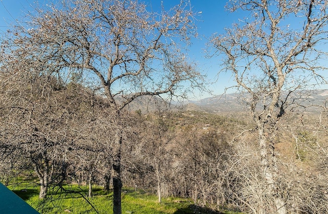 view of local wilderness featuring a mountain view