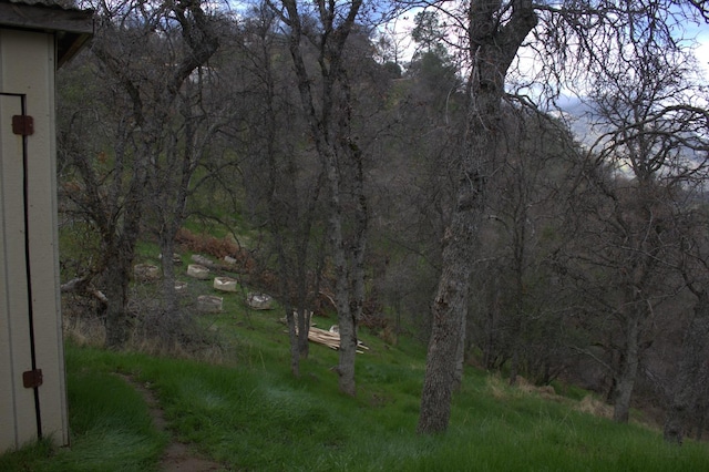 view of landscape