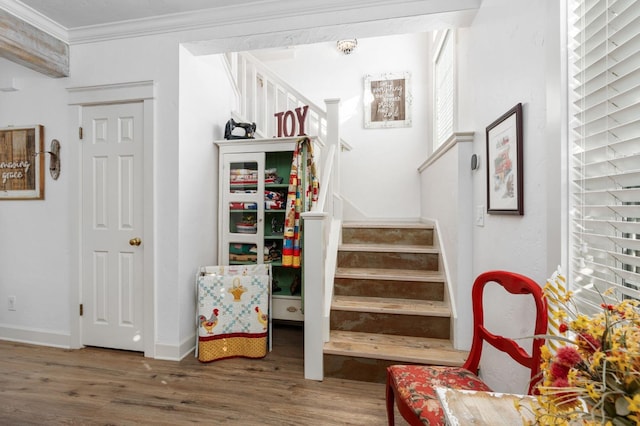 stairs featuring ornamental molding and hardwood / wood-style floors