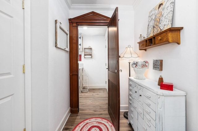 hallway featuring crown molding and hardwood / wood-style flooring