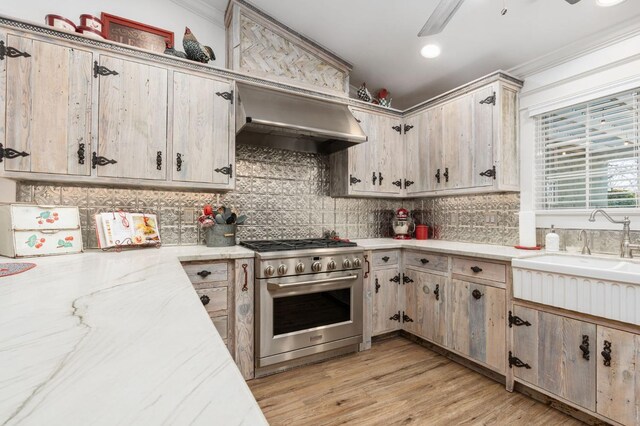 kitchen with sink, high end stainless steel range, ornamental molding, ventilation hood, and decorative backsplash