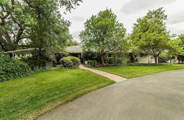 3670 S Newmark Ave, Sanger, CA 93654 - view of property hidden behind natural elements with a front lawn
