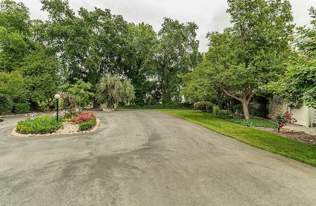 3670 S Newmark Ave, Sanger, CA 93654 - view of asphalt road with view of scattered trees