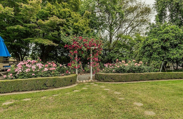 view of home's community with a yard