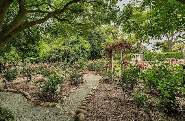 3670 S Newmark Ave, Sanger, CA 93654 - view of yard