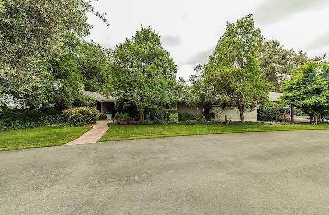 3670 S Newmark Ave, Sanger, CA 93654 - view of property hidden behind natural elements with a front yard