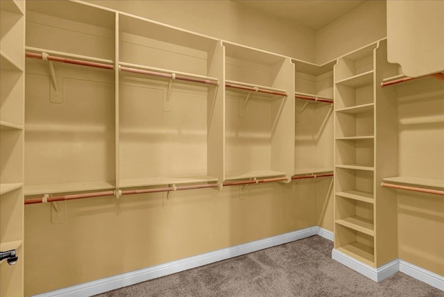 spacious closet featuring carpet flooring