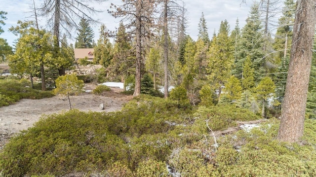 Listing photo 3 for 39897 Fawn Lilly, Shaver Lake CA 93664