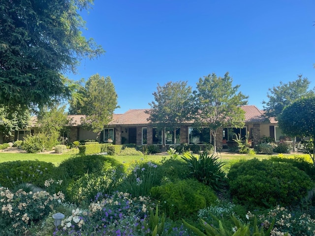 rear view of property with a lawn