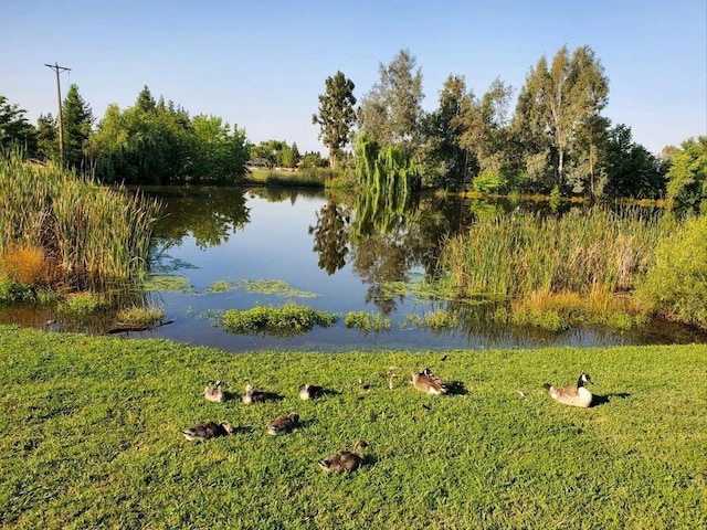 water view