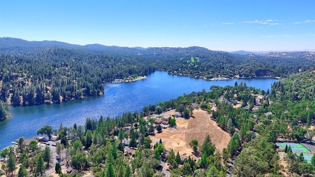 drone / aerial view featuring a water and mountain view