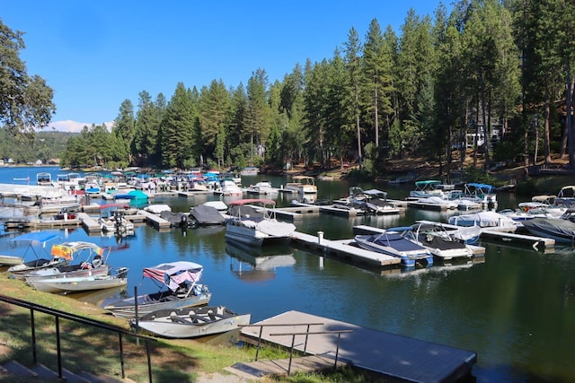 dock area featuring a water view