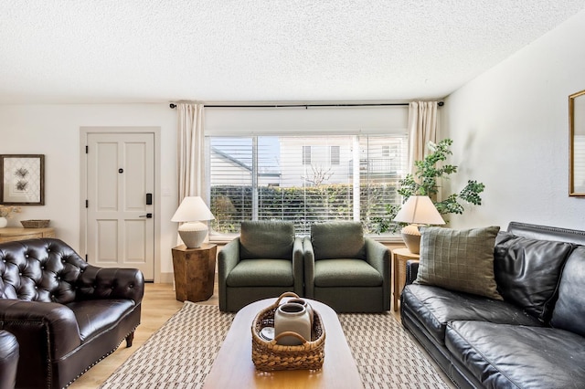 living room with a textured ceiling