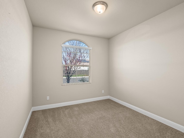 unfurnished room with carpet flooring