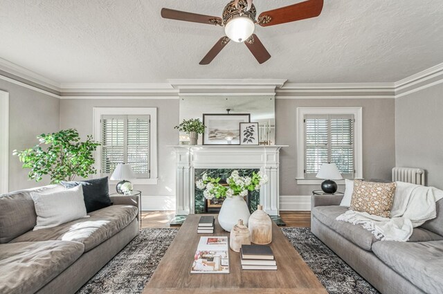 living room featuring a healthy amount of sunlight, radiator heating unit, a fireplace, and wood-type flooring