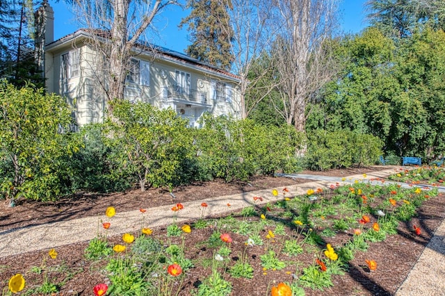 view of yard with a balcony