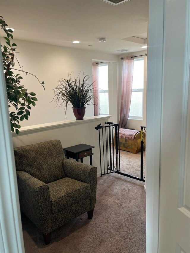 sitting room featuring carpet floors