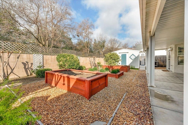 view of yard featuring a patio and an outdoor structure