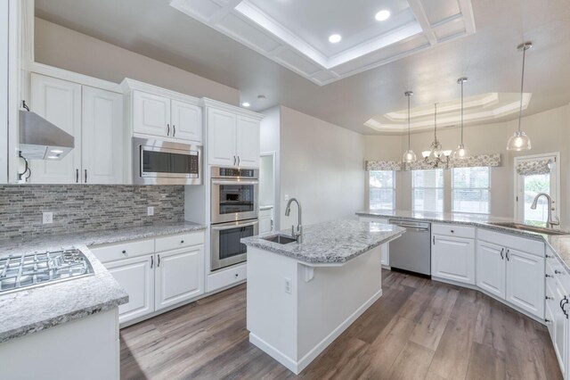 kitchen with sink, a kitchen island with sink, stainless steel appliances, extractor fan, and a tray ceiling